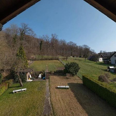 Ferienwohnung Am Waldrand 巴特德里堡 外观 照片